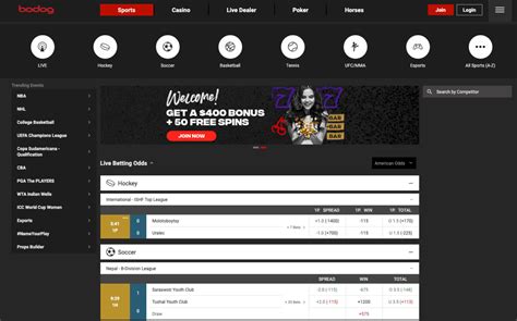 bodog odds